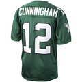 Perkns P.Eagles 1992 #12 Randall Cunningham Mitchell & Ness Green Authentic Throwback Retired Player Stitched Puhic Jersey